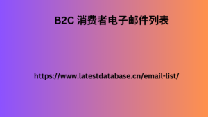 B2C 消费者电子邮件列表