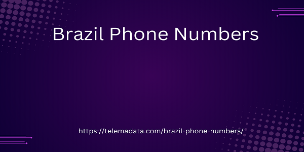 Brazil Phone Numbers