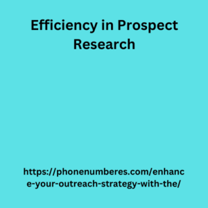 Efficiency in Prospect Research